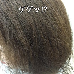 画像 備えあれば憂いなし　ACC編 の記事より 2つ目