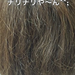 画像 備えあれば憂いなし　ACC編 の記事より 3つ目