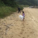 13回海岸清掃ボランティア＼(^o^)／の記事より