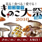 もうすぐ　横浜きのこ大祭り　がやってまいります～！！の記事より