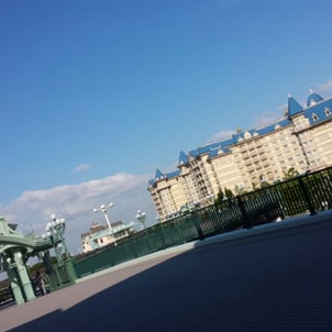 諦められずの。の画像
