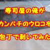 YouTube更新♪寿司屋の俺が、カンパチのウロコを包丁で削いでみた♪の画像