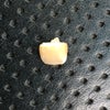 歯抜け･･･（G16-11）の画像
