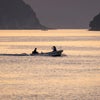 周防大島　漁師町の朝の画像