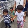 水族館&公園の画像