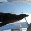 サンシャイン水族館の画像