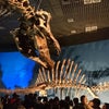 36Oシアターの画像