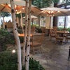 ★地産地消の自然派ホテルレストラン～♪の画像