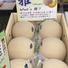 「雅」「ナイル」「妃」は何でしょう？の画像