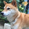 待ち遠しいの画像