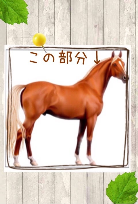 よく頂くご質問 馬油とこうね馬油の違いは何ですか 敏感肌でも使える 化粧品の開発 ママ研究者の美容日記
