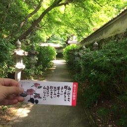 画像 福知山市の観音寺のあじさい の記事より 2つ目