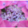 lovelyの画像