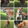 一日目の様子の画像