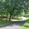 心が飛びましたの画像