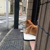 現場監督の画像