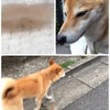 朝の様子の画像