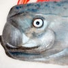 リュウグウノツカイ魚拓の顔部分を修正しました。の画像