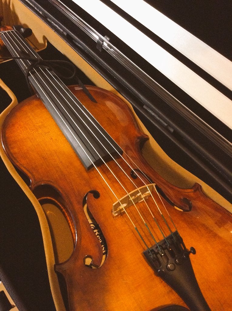 5弦バイオリン
