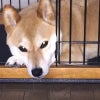 もう限界の画像