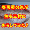YouTube更新♪寿司屋の俺が、真鯛を三枚におろしてみた♪の画像