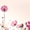 「私は他人に興味がありません。」の画像