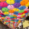 傘まつり ポルトガルの画像