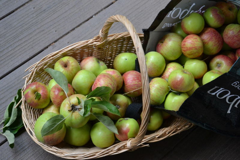 154 りんごなど果物が 酸っぱい を英語でいうと 英語えほんの森