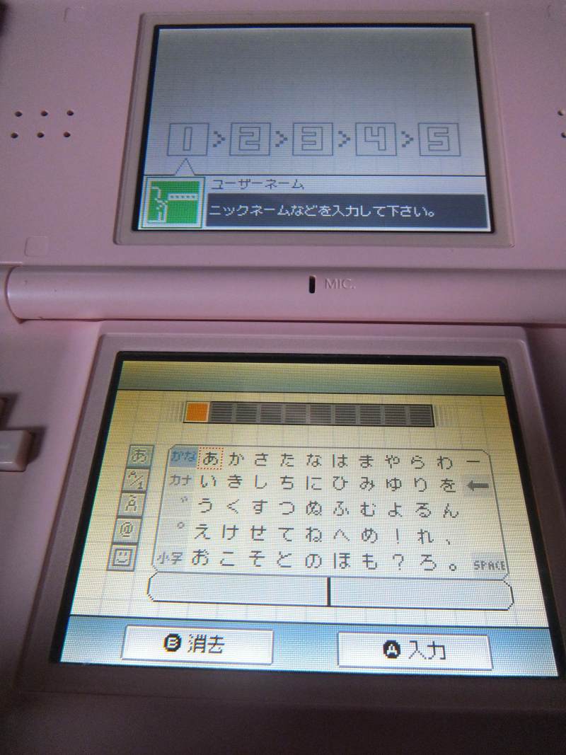 My custom Wario DS lite! - Nintendo DS, DSi & DSiWare 