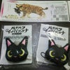 今日からの画像