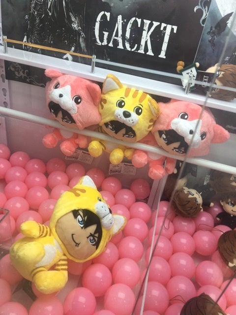 がくっち Bigぬいぐるみ Men S Cancam