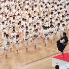 平成28年度　全日本少年少女武道錬成大会の記事より