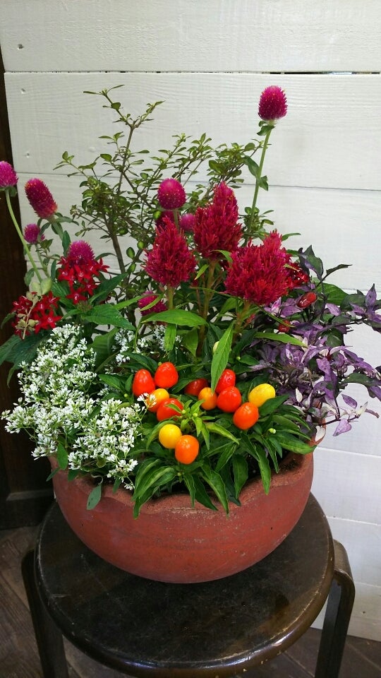 夏のお花で寄せ植え Feel The Garden Shop Blog