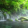 秋田県　鳥海山恵みの水♡と……の画像