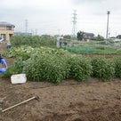 川越style「鈴や」100％自家栽培蕎麦と季節の素材を使い季節の蕎麦に仕立てるの記事より