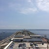 海蛍。の画像