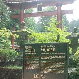画像 緑の中 の記事より