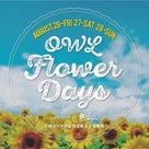 OWL FLOWER DAYS × amore!× Grazie!!の記事より