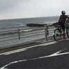江ノ島~鎌倉~横浜~東京の画像