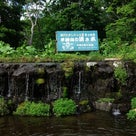 北海道細川たかし像とニセコ甘露水の記事より