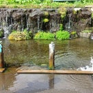 北海道細川たかし像とニセコ甘露水の記事より