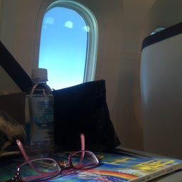 画像 〜ANA#178シアトル便〜ANAビジネスクラス利用雄大なるアラスカクルーズ旅行10日間 の記事より 6つ目