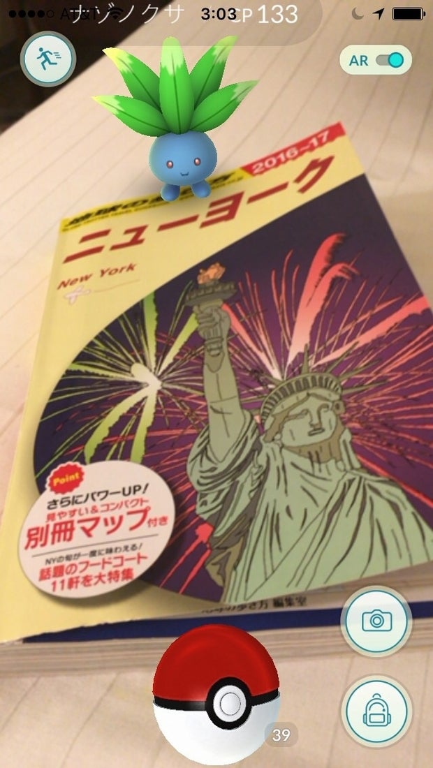 マンハッタン 28,100歩の記事画像