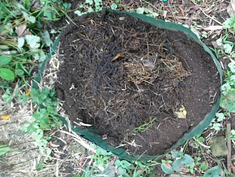 自作堆肥で土のお手入れ aneの園芸ブログ