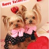 Happy Valentineの画像