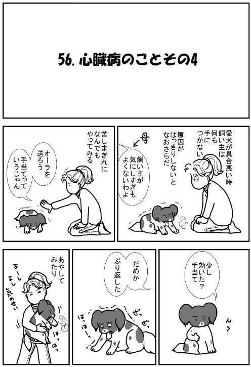 56 心臓病のことその4 愛犬アミ連載漫画