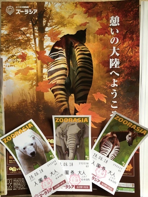 よこはま動物園ズーラシア Kobikobiのブログ