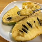 横浜産バナナ⁈パパイヤ、ポポーを栽培する金子果樹園さんの記事より