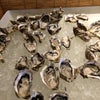 牡蠣の画像