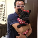 淡路島犬連れ旅行  大阪 ショウくんパパのドッグカフェへの記事より